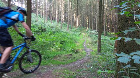 The most beautiful MTB Trails in Houffalize